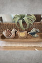 Birdie Bowl Fillers